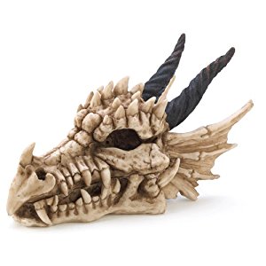 Serve l'osso sulla punta del naso dei draghi?