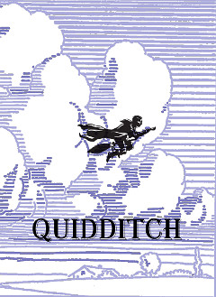 Quidditch: le regole per i piccoli babbani