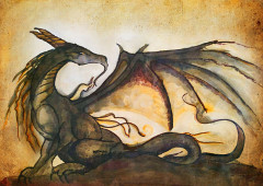 La natura dei draghi. Disegno di Angela Martinetti