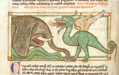 Plinio il vecchio descrive un drago che combatte contro un elefante