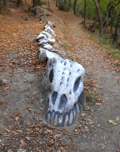 Uno scheletro misterioso nel bosco
