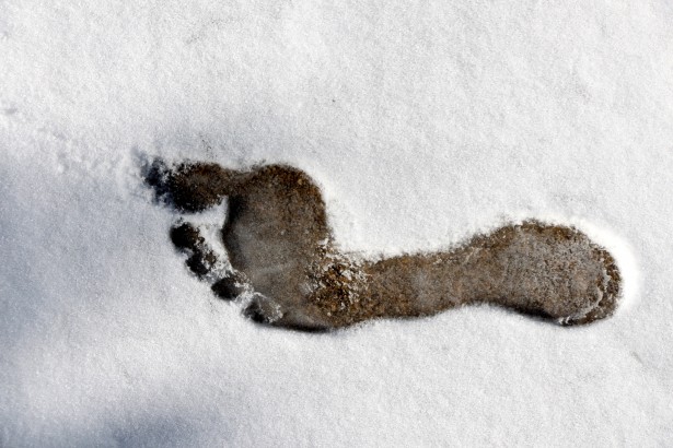 impronta nella neve